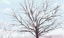 南方人冬至吃什么食物 要做什么事