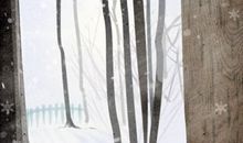 2020冬至适合吃什么 南方北方