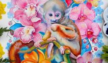 生肖猴年前不可错过的好机遇