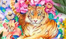 生肖虎年前不可错过的好机遇