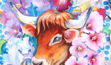 生肖牛年前不可错过的好机遇