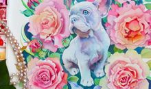 生肖狗年前不可错过的好机遇