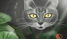 五行属木字最旺的字又寓意好的名字