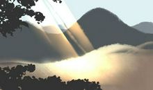 大林木几月出生最好 大林木命的忌讳