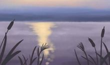 2021木命的女人适合做什么工作