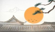 补金最旺植物的首选 旺财吗