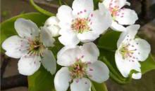 让好男人来爱你的秘决