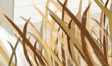 测你的情商是否hold得住一夜情