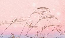 测你的桃花运会被自己赶走吗？