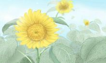 名人手相成功线详细解说