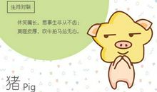 2021年属猪上半年感情运势怎么样