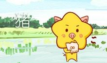 属猪2021上半年爱情运势怎么样