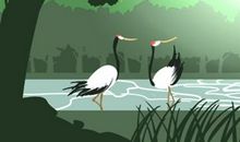 最好的女命是几两 女人几两命最不好