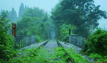 旧恋情留给你啥痕迹