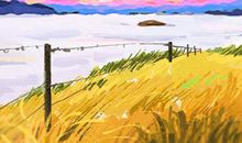 卫生间风水门帘的选择