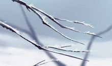 测试你2021年运势是吉是凶