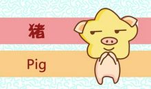 83年猪一生有二婚 一生婚姻详解