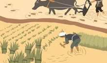 命里缺金的人的办公室摆什么好 什么可以招财运