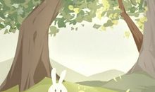 木命的女人有何特点 八字命理