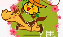 生肖马的魅力所在