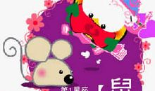 生肖鼠的魅力所在