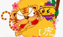 生肖虎的魅力所在