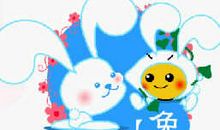 生肖兔的魅力所在