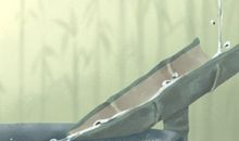 水命的男人有什么特征 什么特点