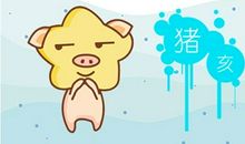 1995年几月猪命苦 2021年感情运势如何