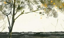 土命一等命 最好的土