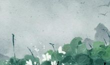 91年属羊女孩好不好 属羊女生