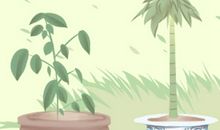 五行属水的人缺什么颜色 什么颜色不吉利