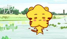 虎爸狗妈在2021年生宝宝好不好