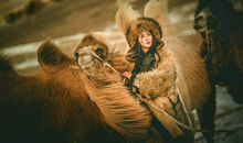 最塔罗每日运势2020年12月20日