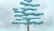 2020年庚子年小寒的公历是在几月几号