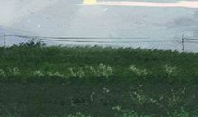 生肖兔一生的克星是谁 属相相克