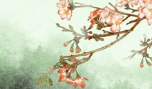 木命什么颜色最旺 最旺木的颜色