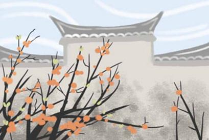 什么是不能住在地板上的地板？