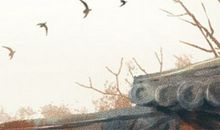 最佳招牌颜色搭配图片