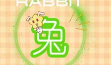 兔爸爸猪妈妈生什么生肖宝宝好