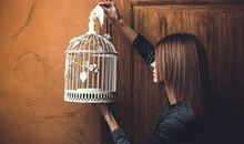 临近元旦，喜气连连，横财入运，摇身变富人的生肖