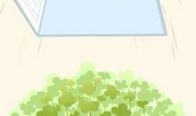 木命人起名字带什么好 木命起名