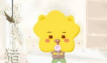 属猪2021幸运色是什么 穿什么颜色好