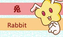 1987年属兔男最佳配偶 结婚好不好