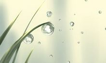 白露这一节气是什么 在这一天需要做什么事情