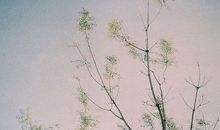 十二生肖小年三日吉凶盘点