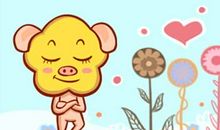 为什么属猪人婚姻不顺 命里带二婚是不是真的