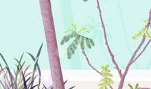 木命人五行缺什么 和什么人配