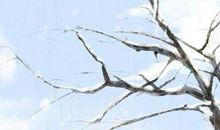 2021年啥时候开始数九