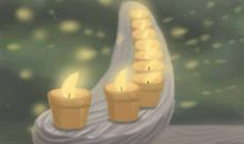 什么花不能养在家里 养花风水禁忌